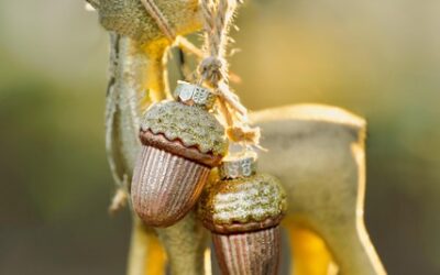 KAPHÛS 2025 – WAT EEN JAAR!