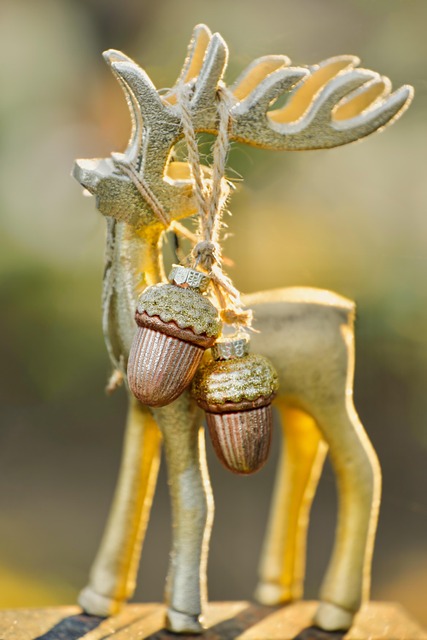 KAPHÛS 2025 – WAT EEN JAAR!